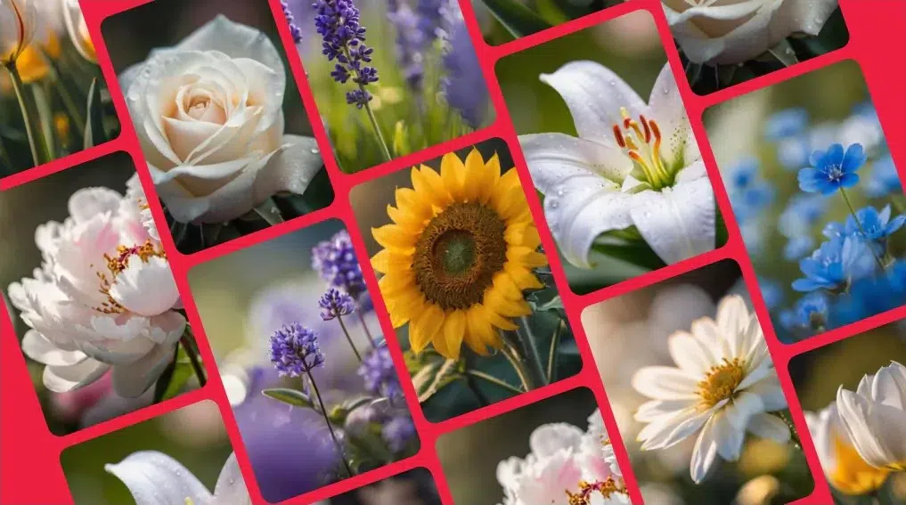 free-stock-photo-flowers