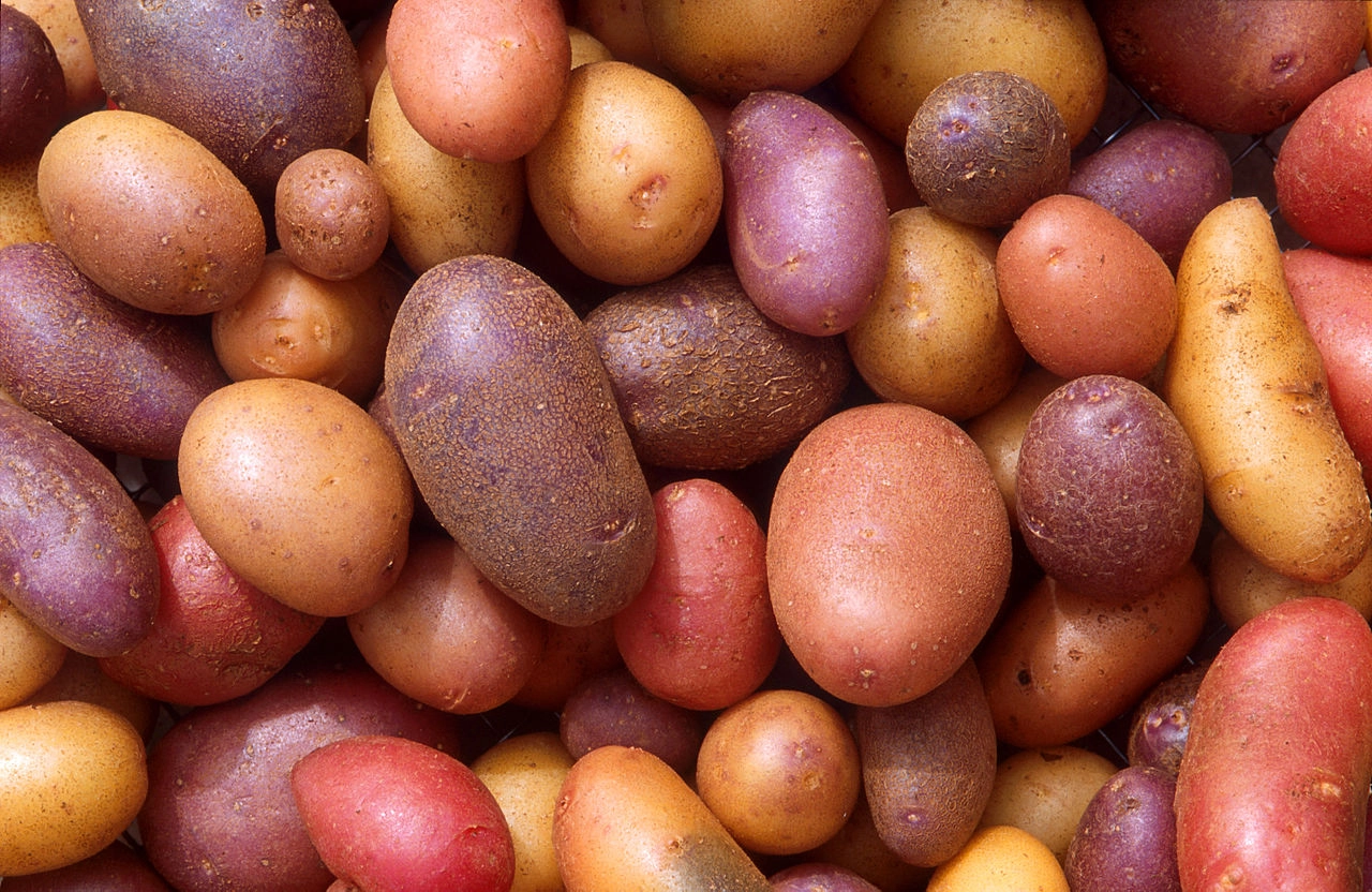 Stack of Red Potatoes